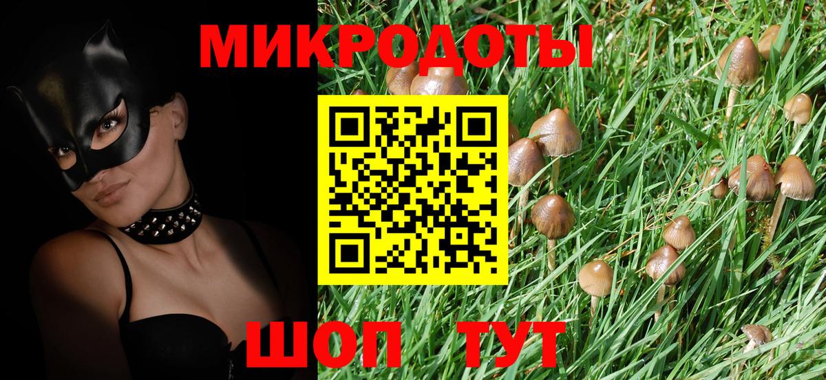 Галлюциногенные грибы мицелий  как найти   Галлюциногенные грибы мухоморы  Санкт-Петербург  Вход с VPN 