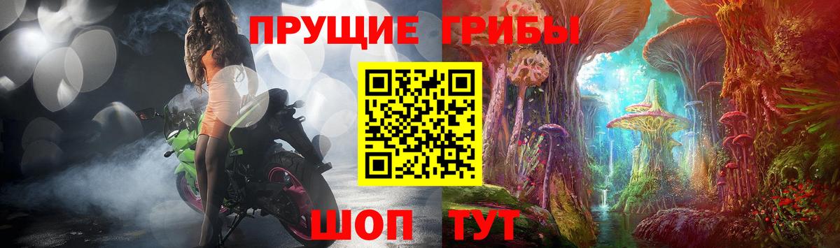 Галлюциногенные грибы прущие грибы Санкт-Петербург